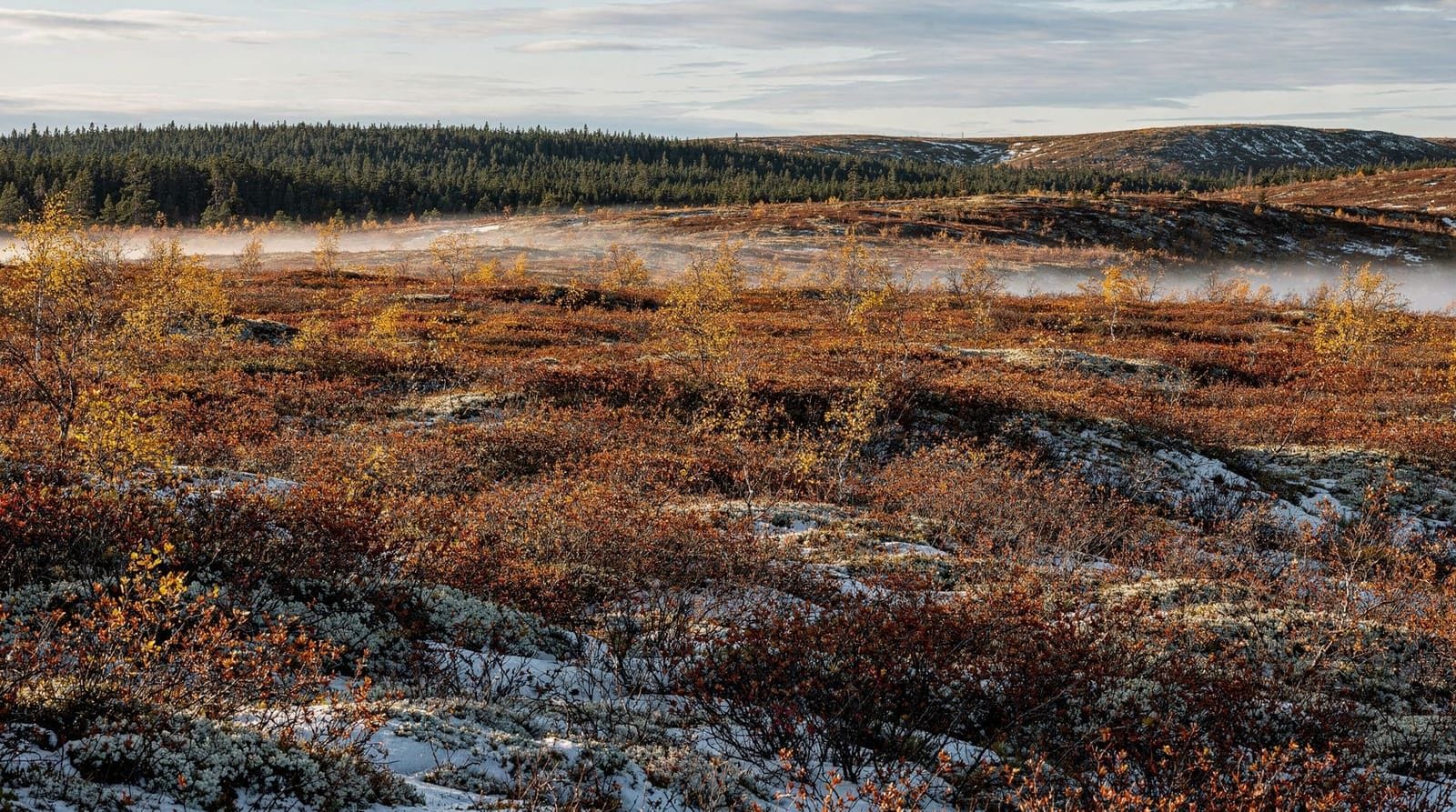 Ruska : la saison des couleurs d'automne en Laponie finlandaise