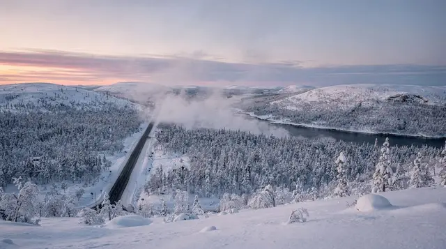 Birdwatching in Finnish Lapland