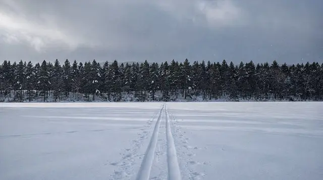 Cross-country skiing around Rovaniemi