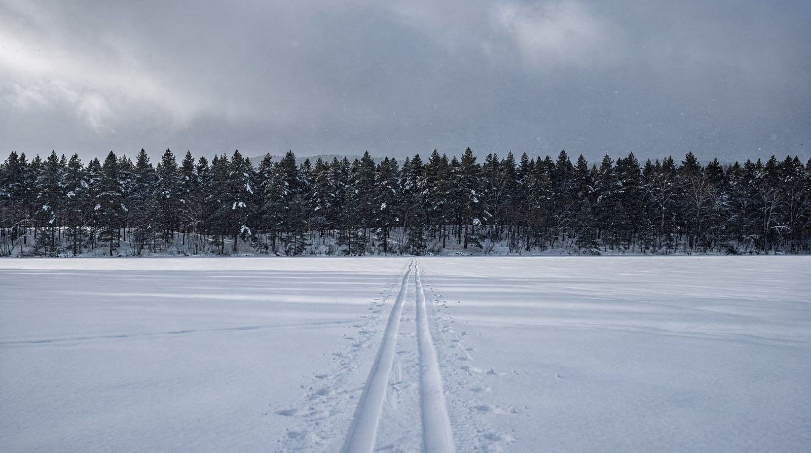 Le ski de fond autour de Rovaniemi