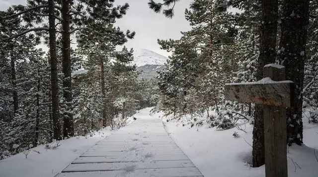 Everyman's right: Finland's nature access law explained