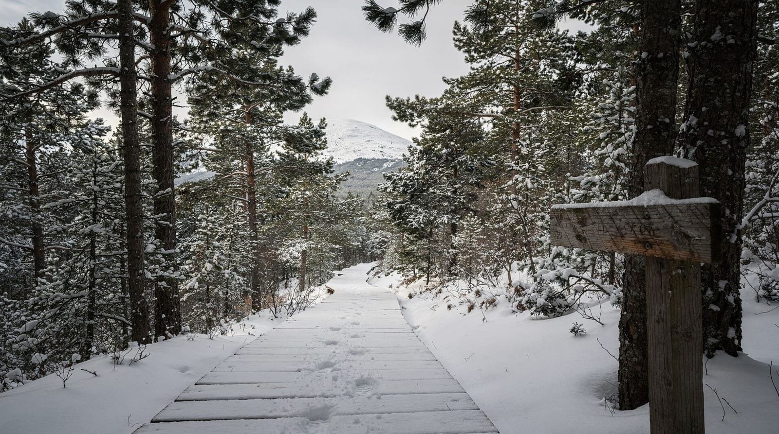 Le droit de tous : le libre accès à la nature en Finlande expliqué
