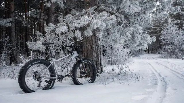 Fat biking in Rovaniemi: groomed winter trails explained