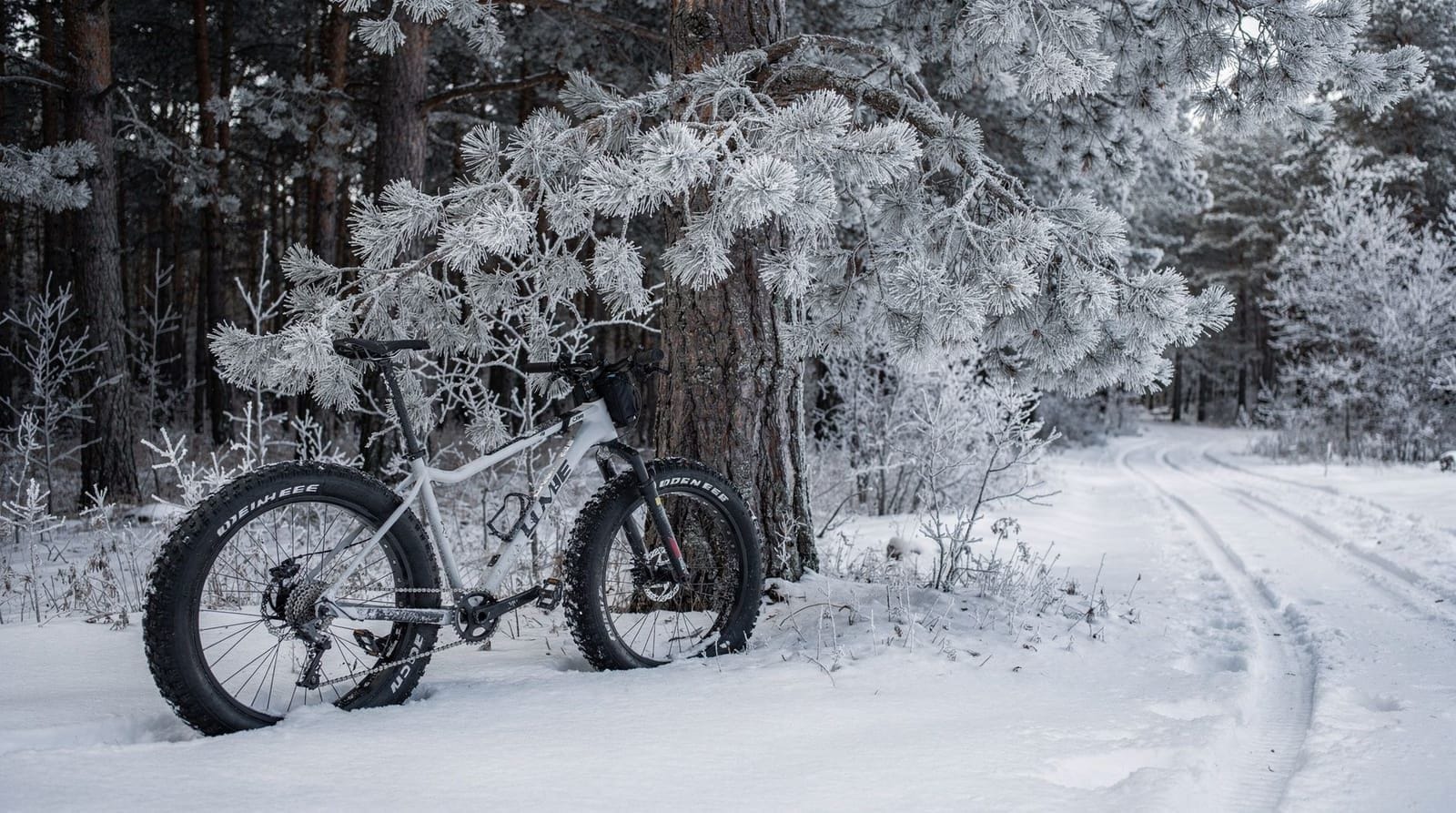Fatbike à Rovaniemi : les pistes damées, mode d'emploi