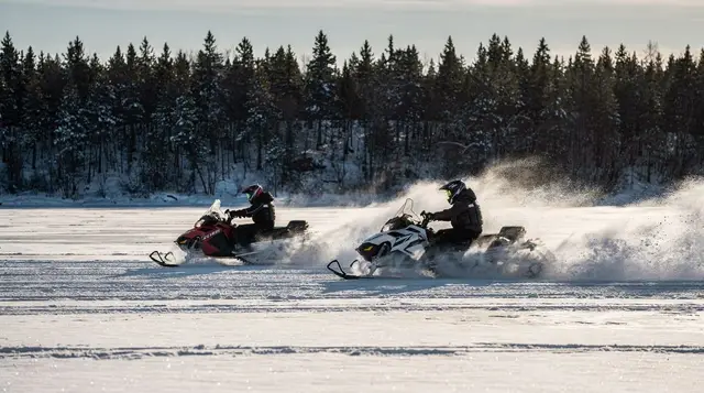 Do you need a licence to drive a snowmobile near Rovaniemi?
